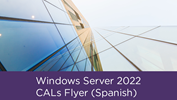 Windows Server 2022 CALs Flyer (Spanish) 